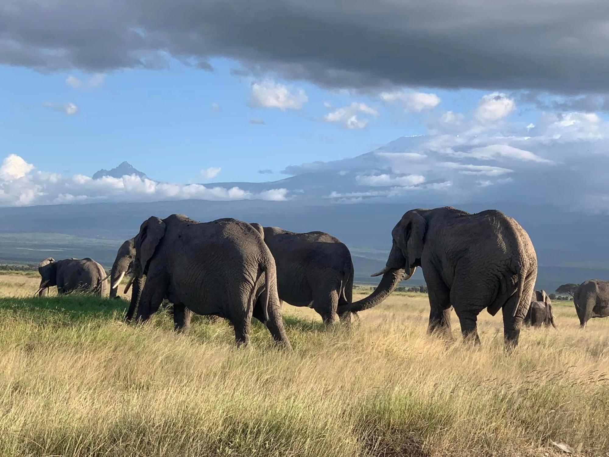 Amboseli Discovery Camp Exterior photo