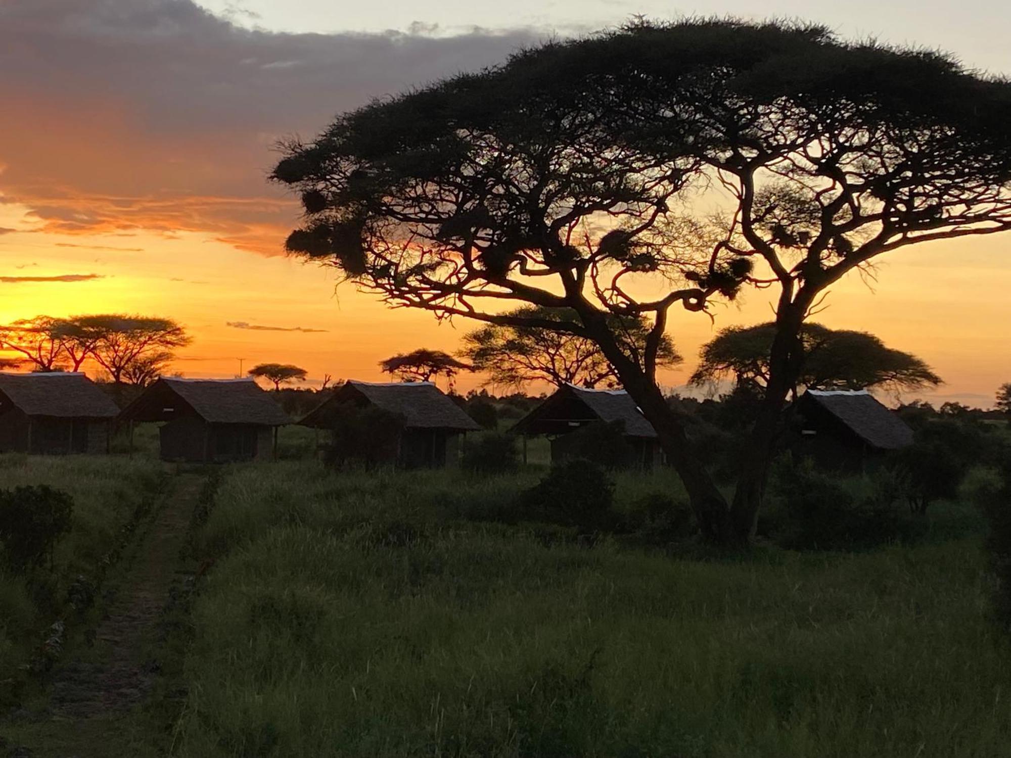 Amboseli Discovery Camp Exterior photo