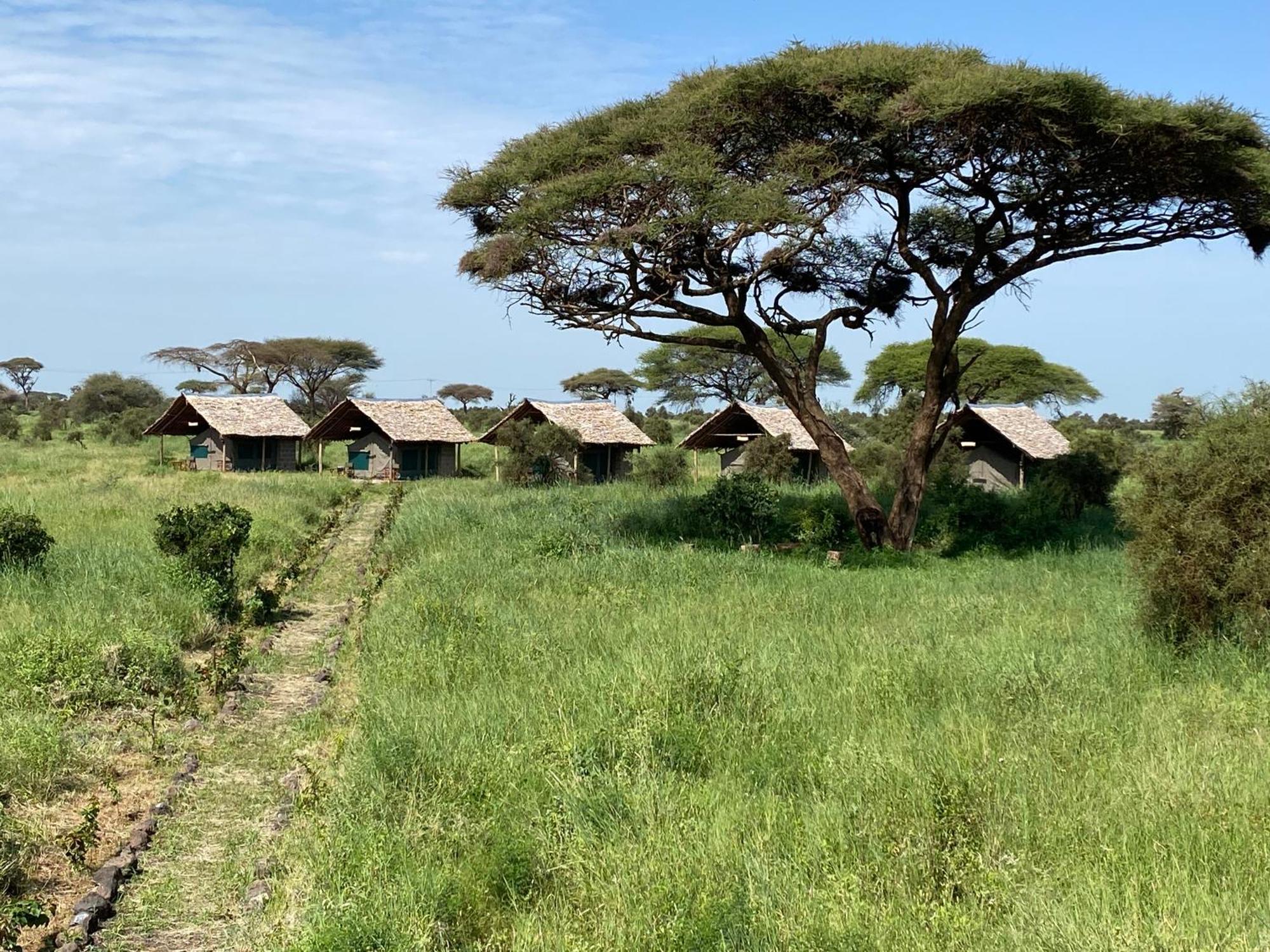 Amboseli Discovery Camp Exterior photo